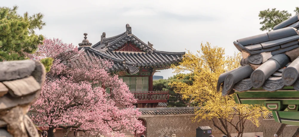 창덕궁