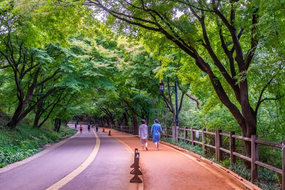 남산공원전망데크