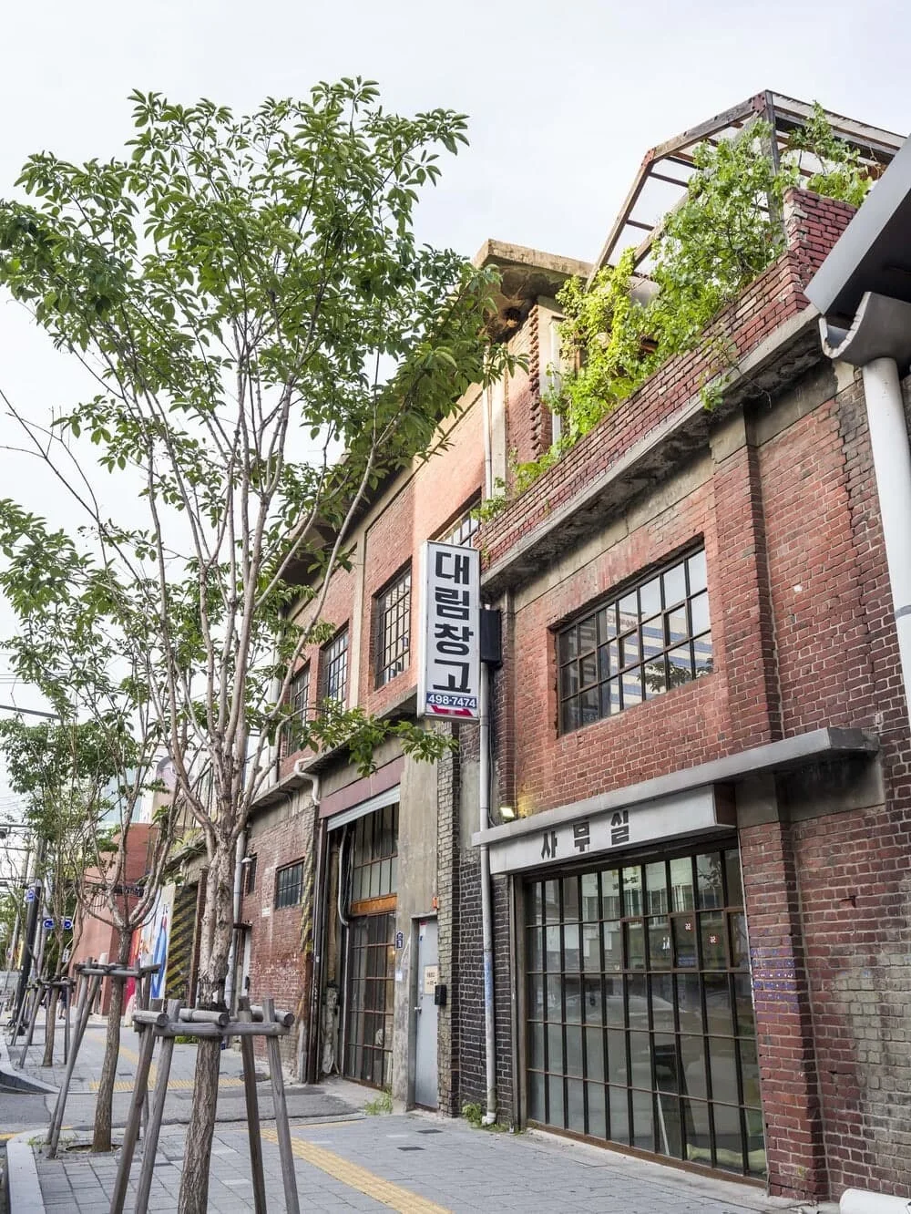 personable seoul hallyu guide