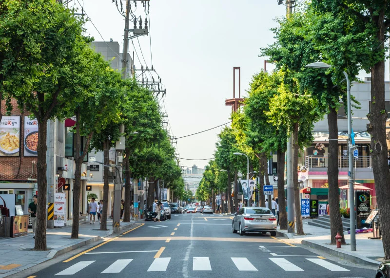 가로수 나무가 길의 양쪽으로 들어서있습니다. 또한 양옆으로 수많은 가게들이 늘어선 모습입니다.