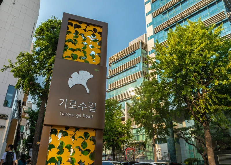 위 아래로는 노란색 낙엽이 그려져 있고 가운데에는 흰색 낙엽모양과 '가로수길 garosu gil road' 라고 적힌 세로로 기다란 표지판과 뒤에 보이는 건물과 나무의 모습